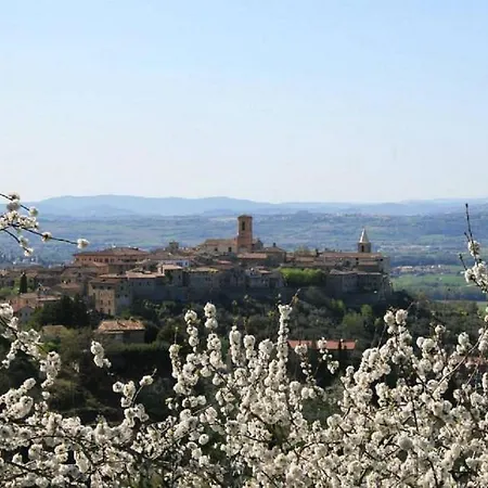 La Piazzetta Bed and breakfast