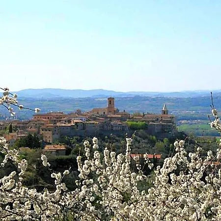 B&B La Piazzetta 4*